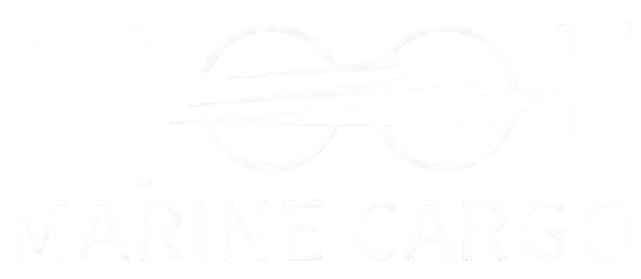 NMC Logo